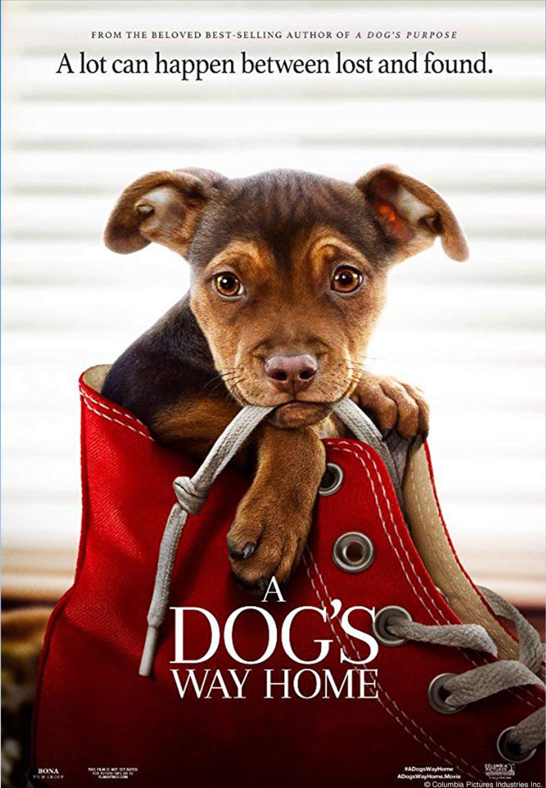 A Dog’s Way Home (2019)