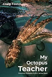 My Octopus Teacher | Netflix (2020) บทเรียนจากปลาหมึก