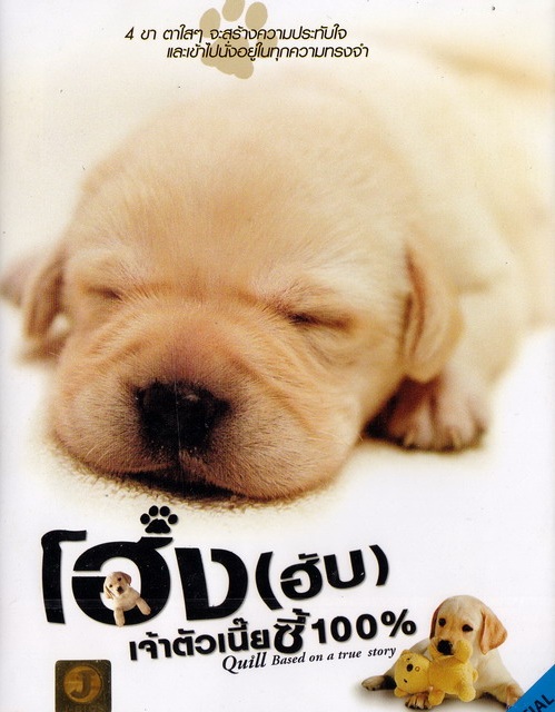 Quill The Life of a Guide Dog (2004) โฮ่งฮับ เจ้าตัวเนี้ยซี้ร้อยเปอร์เซ็นต์