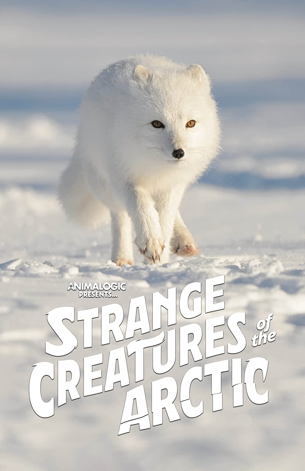 STRANGE CREATURES OF THE ARCTIC (2022)