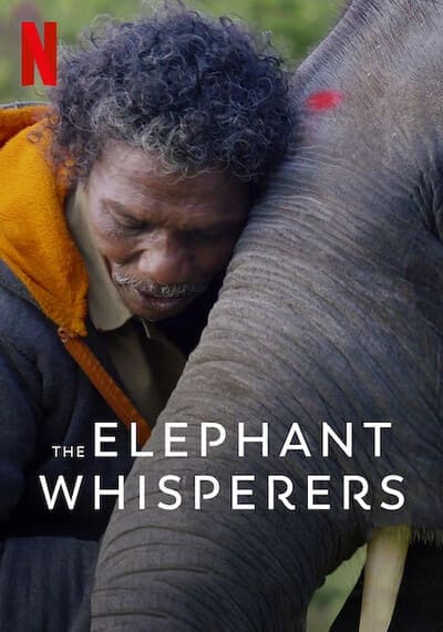 THE ELEPHANT WHISPERERS (2022) คนกล่อมช้าง