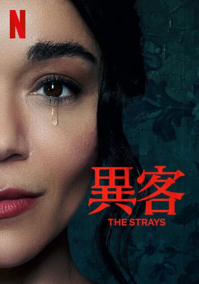 THE STRAYS (2023) คนหลงทาง พากย์ไทย